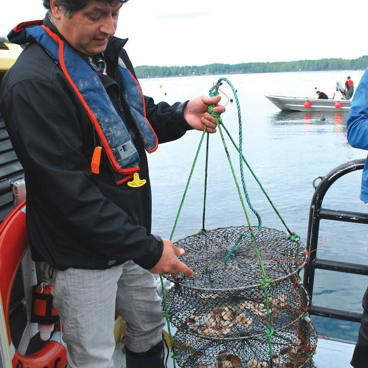 More than 100K square kilometres of B.C. coast are proposed for protection