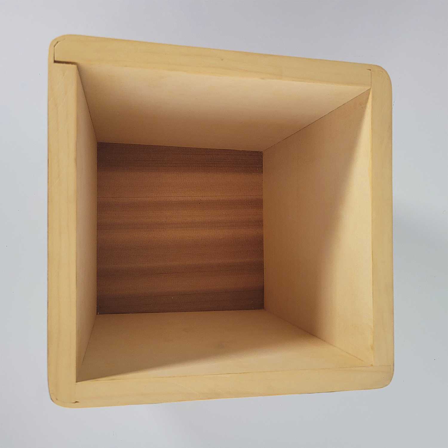 Killer Whale Bentwood Box by Kwakwaka'wakw artist Jessica Chickite