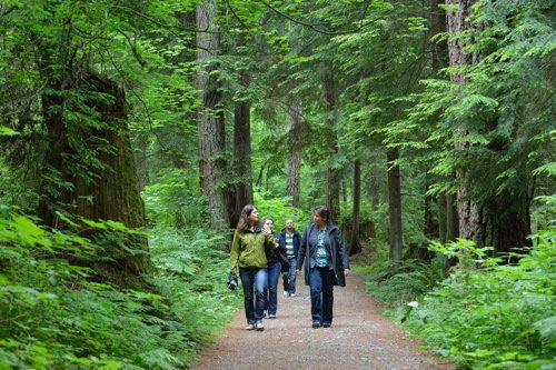 Top Aboriginal Land Adventures