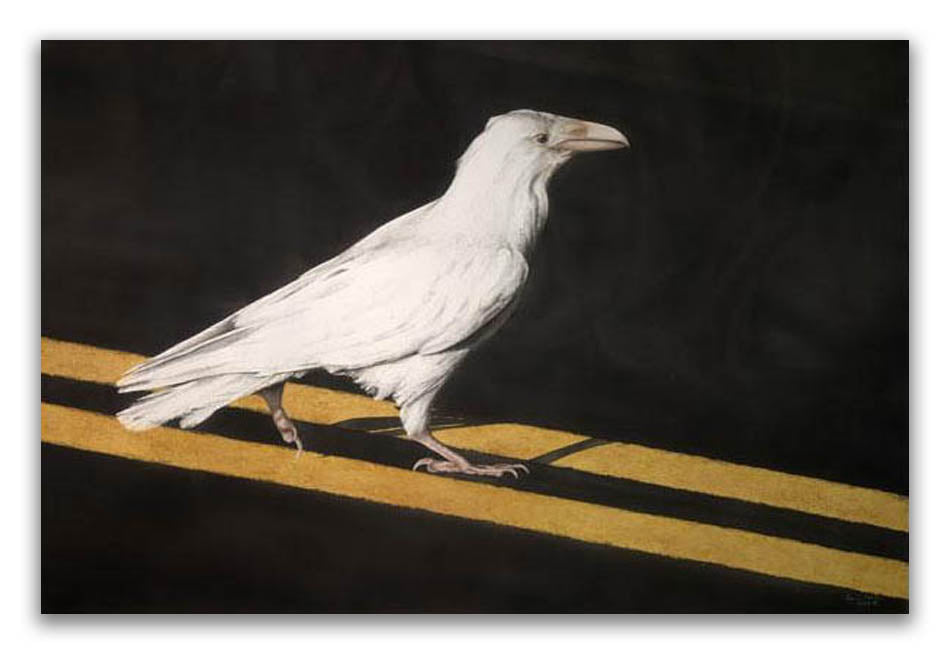 White Raven Limited Edition Print by Haida artist April White