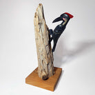 First Nations Woodpecker Rattle and stand by Kwakwaka'wakw carver Greg Henderson