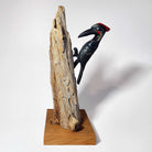 First Nations Woodpecker Rattle and stand by Kwakwaka'wakw carver Greg Henderson