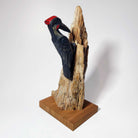 First Nations Woodpecker Rattle and stand by Kwakwaka'wakw carver Greg Henderson