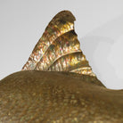 Large Salmon Panel by Nanaimo artist Phil Ashbee